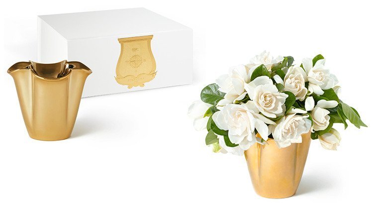 Aerin Clover Vase Products Decorations Vases Brands Aerin