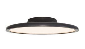 Plafond Dot 16" by Peter Bristol