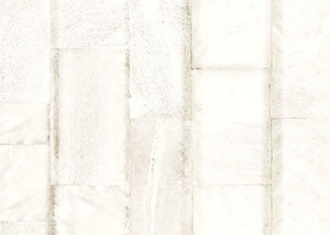 Tapeta Armani Casa Belgravia Plain 9580, z kolekcji Refined Structures 2