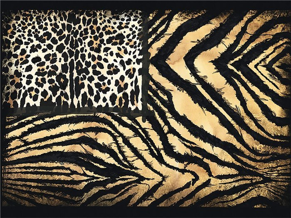 Panel ścienny Roberto Cavalli Home RC19102