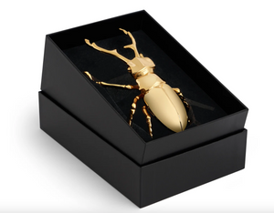 Otwieracz do butelek Longhorn marki L'Objet