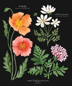 Album Meaningful Bouquets