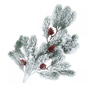Christmas decoration - a snow-covered spruce branch with cones