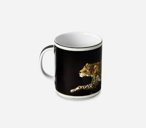 Dolce&Gabbana porcelain mug, DNA collection