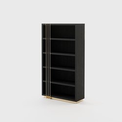 Laskasas D'Arc bookcase