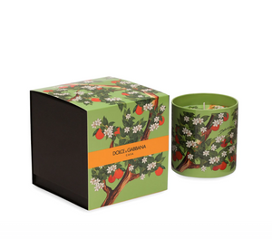 Dolce&Gabbana Casa scented candle