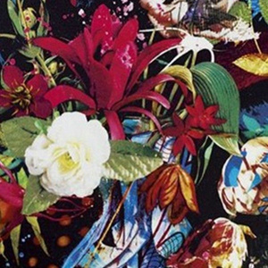 Christian Lacroix Flowers Zone Nuit decorative pillow