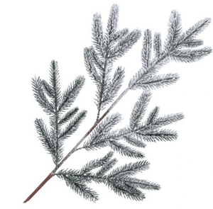 Christmas ornament – a snow-covered spruce branch