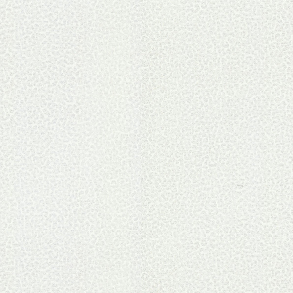 Tapeta Roberto Cavalli Home RC19020