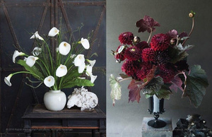 Album Styling Nature