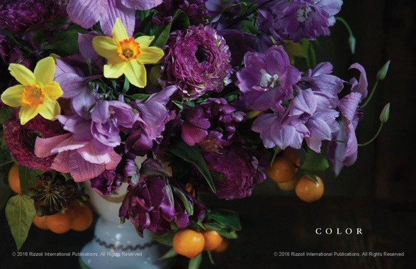 Album Styling Nature