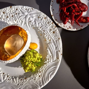 Mojave L'Objet plate, from the Haas Brothers collection