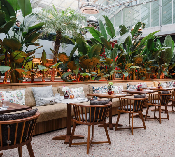 Gray 24 chair by Gervasoni 1882