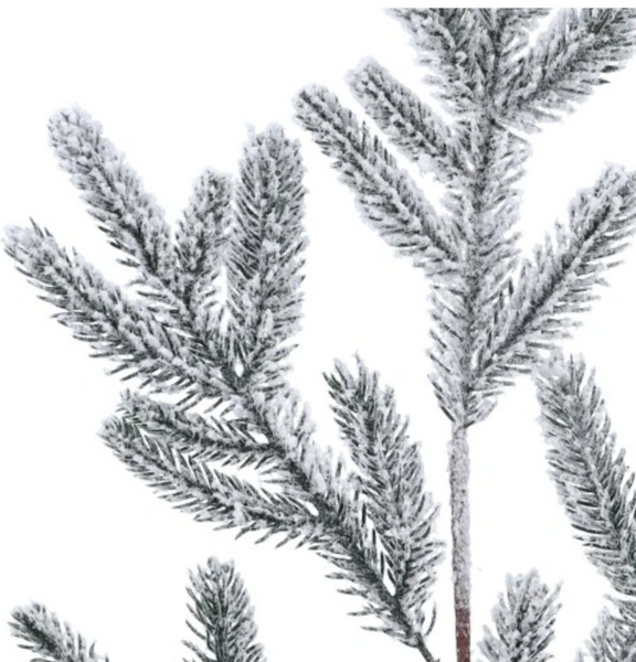 Christmas ornament – a snow-covered spruce branch