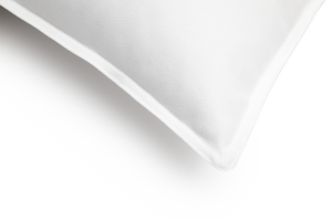 PrepBear decorative pillow by Ralph Lauren Home, from the Polo Bear collection