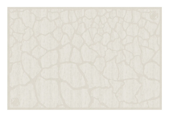 Dywan Roberto Cavalli Home Interiors Uma