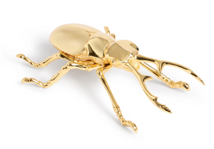 Otwieracz do butelek Longhorn marki L'Objet