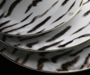 Zestaw sześciu talerzy deserowych marki Roberto Cavalli Home z kolekcji Tiger