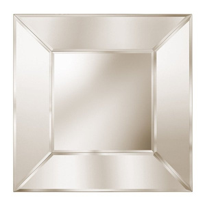 Roberto Cavalli Home Interiors Selfie Mirror