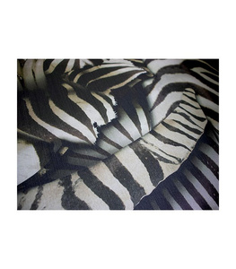 Roberto Cavalli Home wall panel RC19115