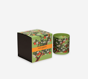 Świeca zapachowa Dolce&Gabbana