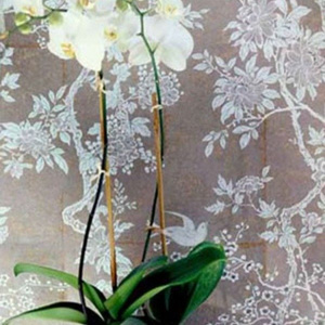 Tapeta Marlowe Floral Dove Ralph Lauren Home, z kolekcji Signature Papers II 