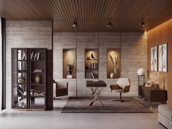 Laskasas D'Arc bookcase