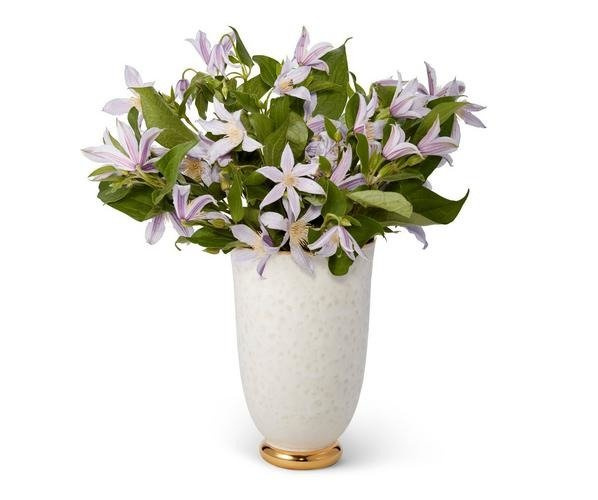 Aerin Marion Tapered Vase (Small)