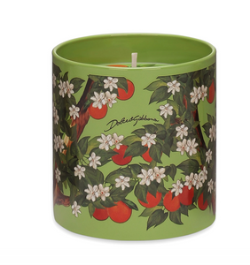 Świeca zapachowa Dolce&Gabbana 