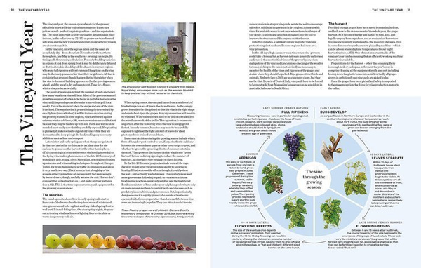 Album World Atlas of Wine