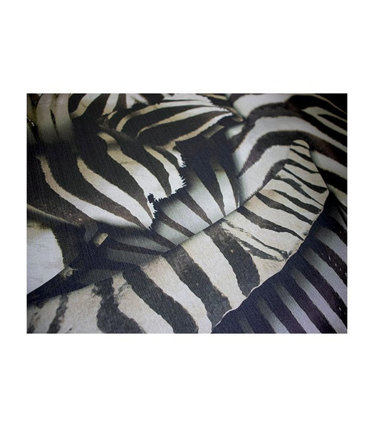 Panel ścienny Roberto Cavalli Home RC19115