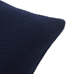 Ralph Lauren Home decorative pillow, from the Archer collection (PUNavy)