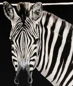 Dolce&Gabbana velvet cushion, DNA collection