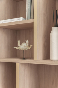 Bookcase House Edizioni Maiori