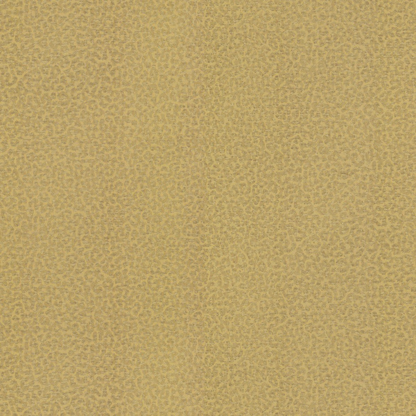 Roberto Cavalli Home wallpaper RC19017