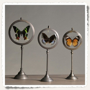 Small frame with butterfly 