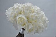 Ornamental flower rose