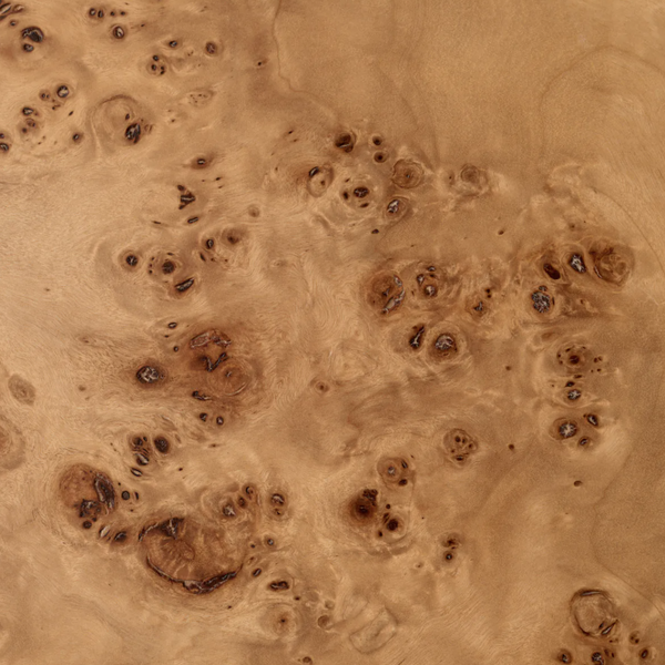 Eichholtz Quinton console table, a set of two