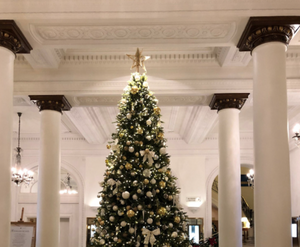 Giant Christmas Tree 400 cm - 1776 LED