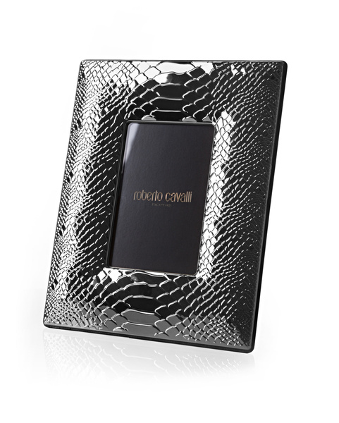 Ramka na zdjęcie Roberto Cavalli Home Python (Silver)