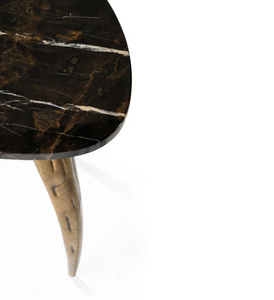 Stolik Wild marki Roberto Cavalli Home Interiors 