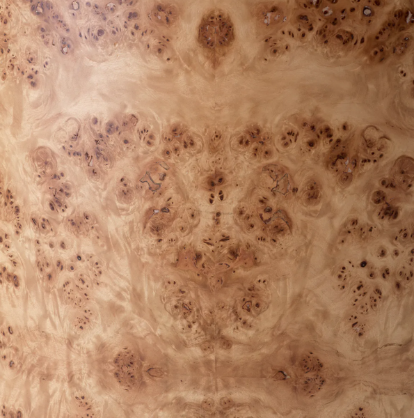 Percy chair by Eichholtz