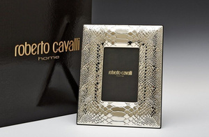 Ramka na zdjęcie Roberto Cavalli Home Python (Silver)
