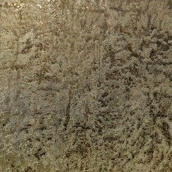 Roberto Cavalli Home wallpaper RC17061