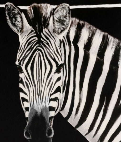 Dolce&Gabbana velvet cushion, DNA collection