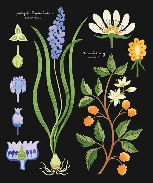 Album Meaningful Bouquets