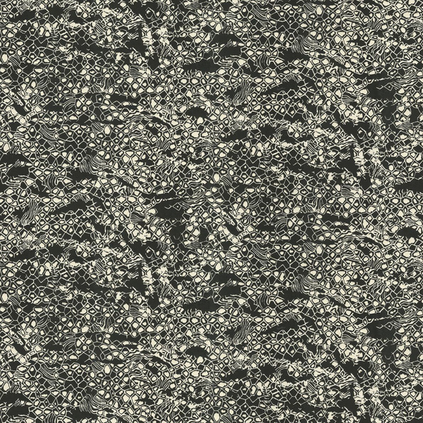 Tapeta Roberto Cavalli Home RC19036