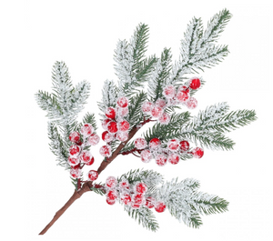 Christmas decoration - a snow-covered spruce branch with rowan berries