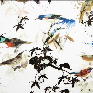 Roberto Cavalli Home Garden's Birds platter