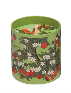 Świeca zapachowa Dolce&Gabbana 